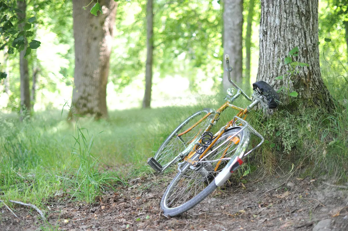 Cykel lutad mot ett träd i grön svensk skog