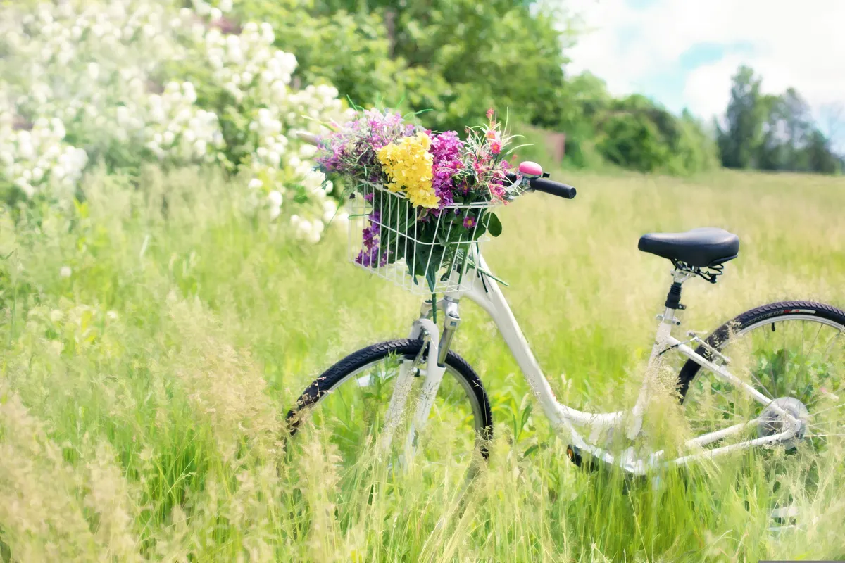 Vit cykel med färgglad blombukett i korg på sommaräng