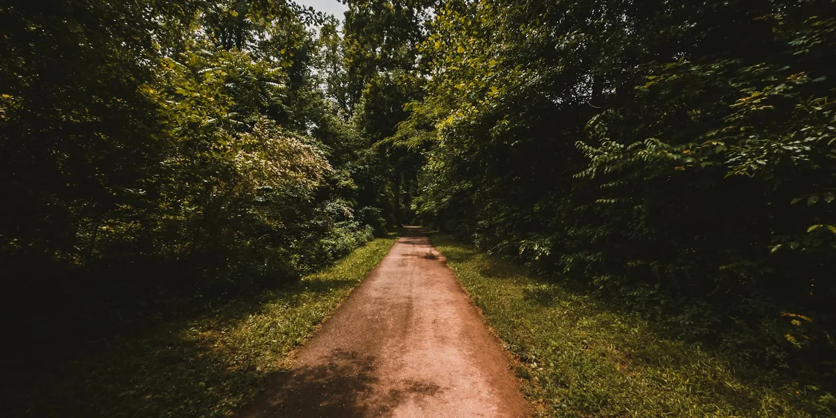 Åkulla bokskogar i Halland – natur och omgivningar