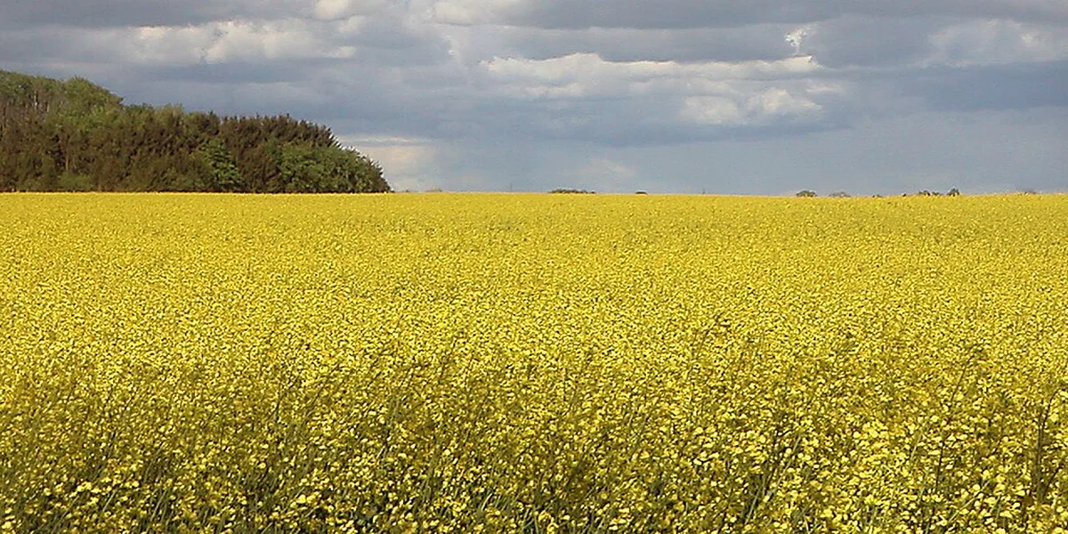 Cykling i Skåne