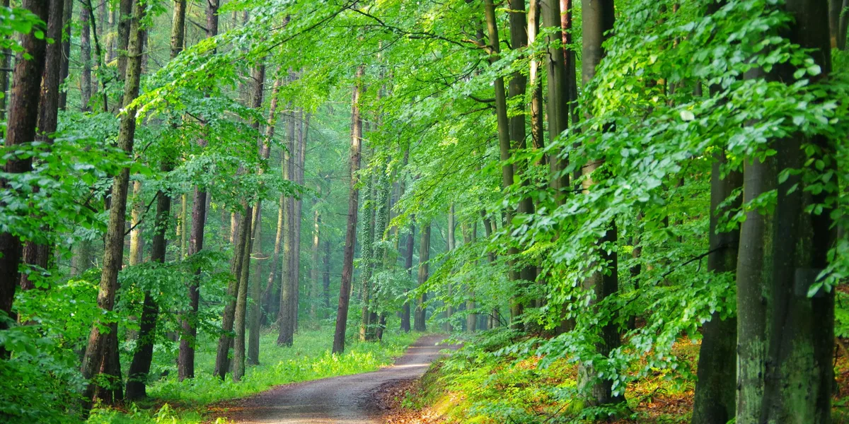 Isälvsleden i Västerbotten – vy från cykelrutten