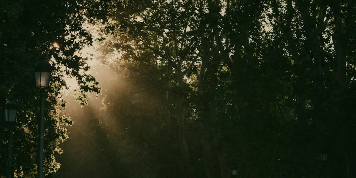 Järva cykelled i Stockholm – landskapsvy längs leden