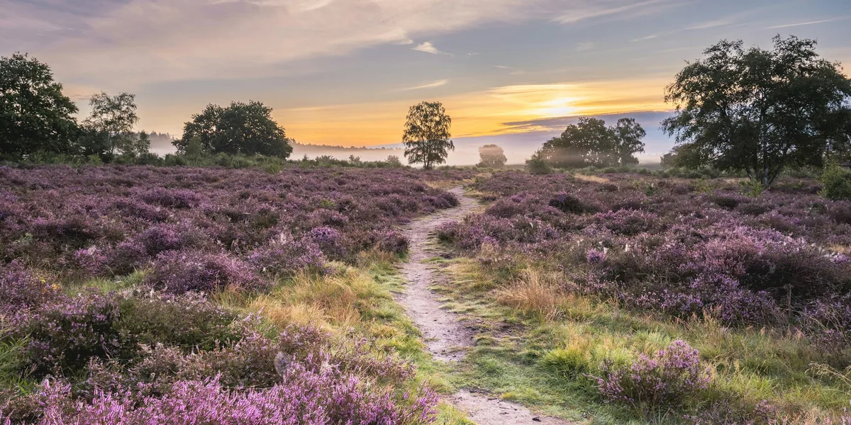 Ljungleden i Västra Götaland – landskapsvy längs leden