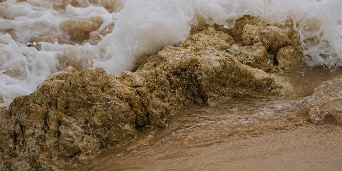 Strandleden i Södermanland – landskapsvy längs leden