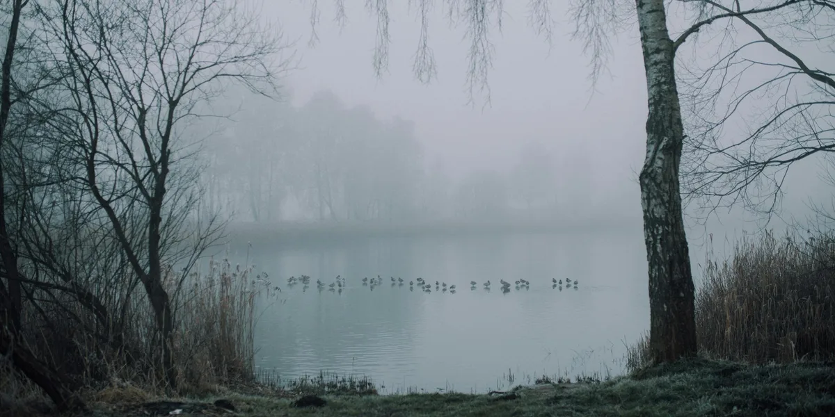 Vadstena-Tåkern Runt i Östergötland – landskapsvy längs leden