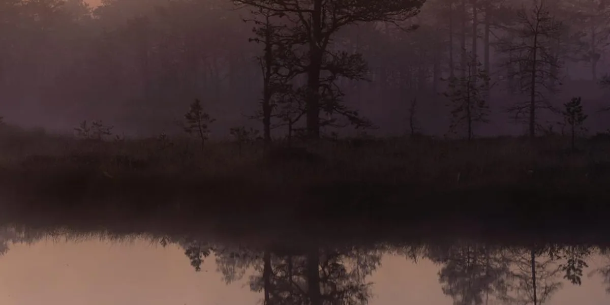 Varpan Runt i Dalarna – landskapsvy längs leden